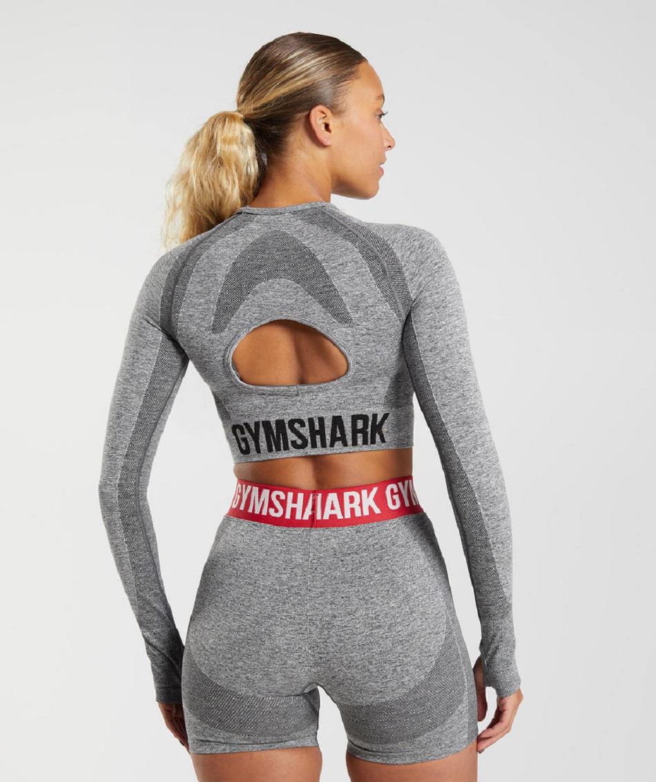 Przycięte Topy Damskie Gymshark Flex Long Sleeve Szare | PL 2656MQZ